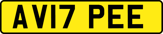 AV17PEE
