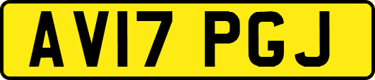 AV17PGJ