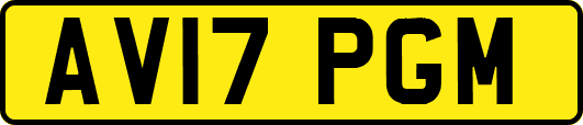 AV17PGM