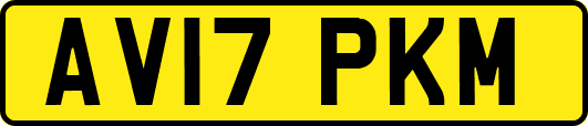 AV17PKM