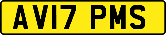 AV17PMS