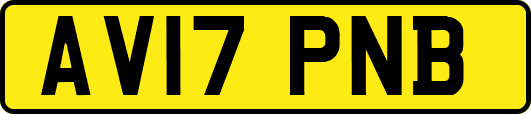 AV17PNB