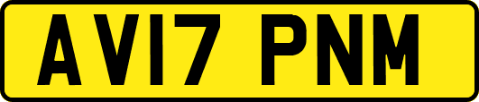 AV17PNM