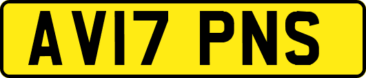 AV17PNS