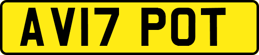 AV17POT
