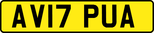 AV17PUA