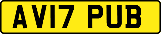 AV17PUB
