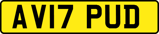 AV17PUD