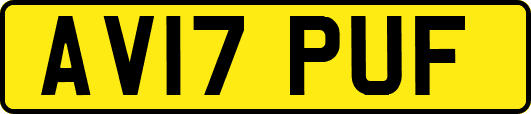 AV17PUF