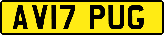 AV17PUG