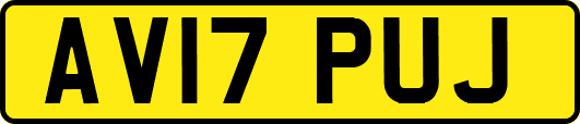AV17PUJ