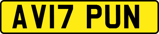 AV17PUN