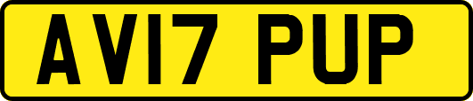 AV17PUP