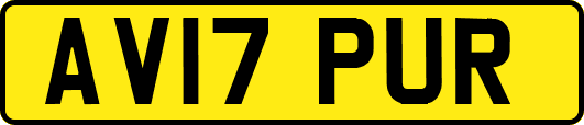 AV17PUR