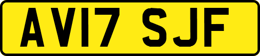 AV17SJF