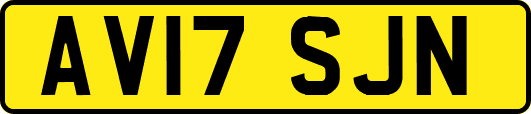 AV17SJN
