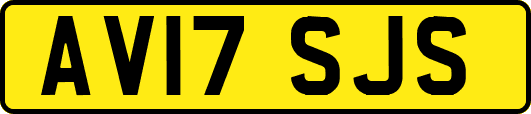 AV17SJS