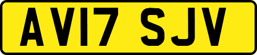 AV17SJV