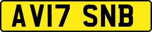 AV17SNB