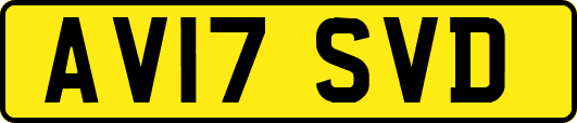 AV17SVD