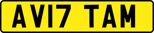 AV17TAM
