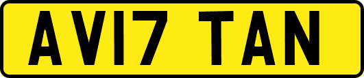 AV17TAN