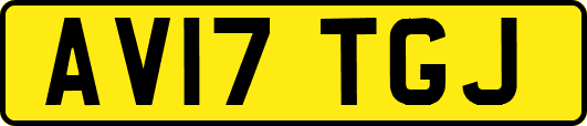 AV17TGJ