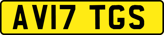 AV17TGS