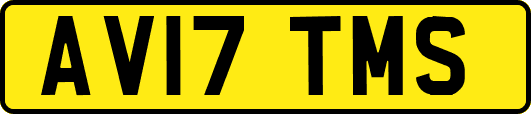 AV17TMS