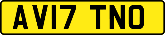 AV17TNO