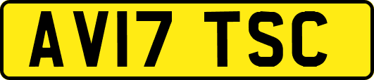 AV17TSC
