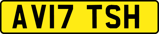 AV17TSH