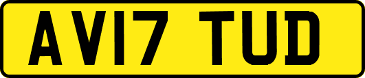 AV17TUD