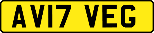 AV17VEG