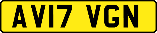 AV17VGN