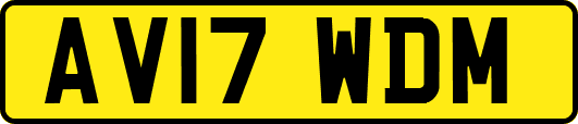 AV17WDM