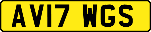 AV17WGS