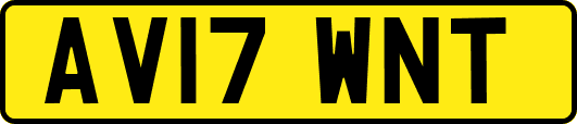AV17WNT