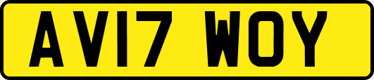 AV17WOY