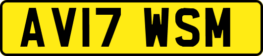 AV17WSM
