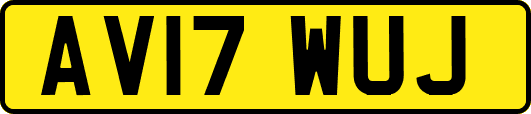 AV17WUJ