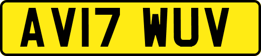 AV17WUV
