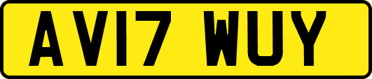 AV17WUY
