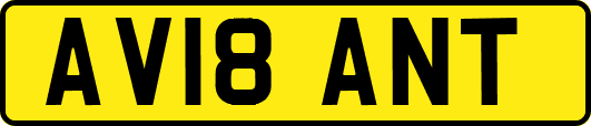 AV18ANT