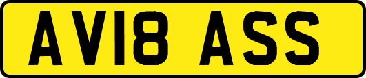 AV18ASS
