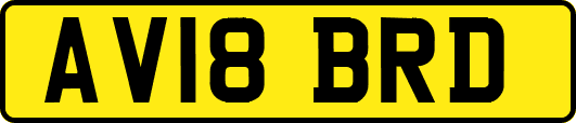 AV18BRD