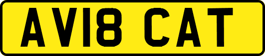 AV18CAT