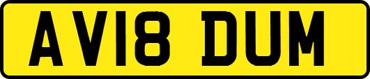 AV18DUM