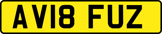 AV18FUZ