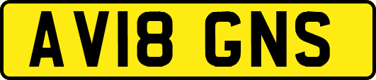 AV18GNS